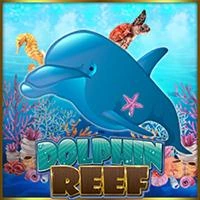 DOLPHIN REEF
